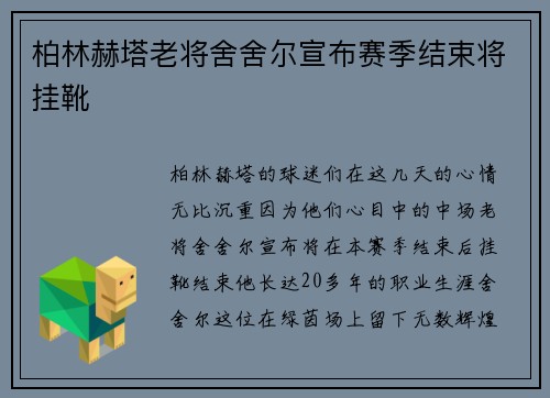 柏林赫塔老将舍舍尔宣布赛季结束将挂靴