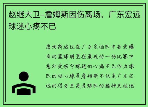 赵继大卫-詹姆斯因伤离场，广东宏远球迷心疼不已